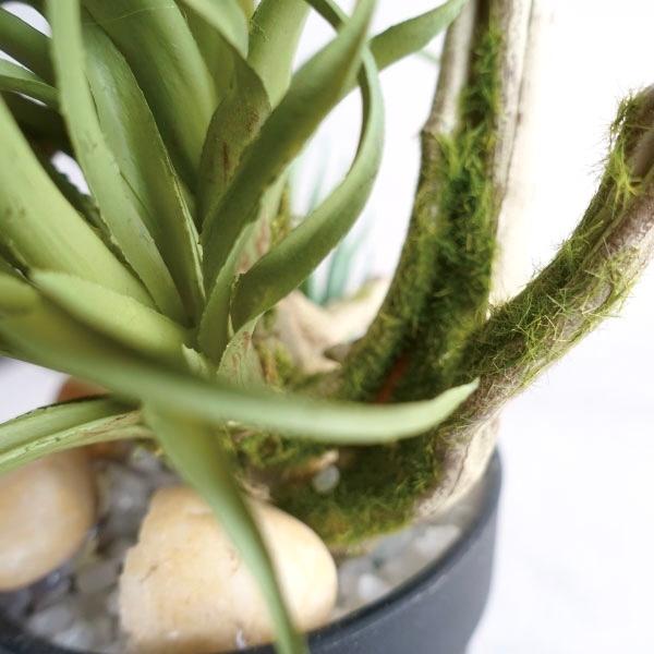 エアプランツ＆多肉植物 アレンジ(ブラック)▫️フェイクグリーン・フェイク多肉植物 エアプランツ＆多肉植物 アレンジ(ブラック)▫️フェイク