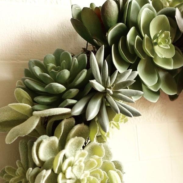 観葉植物 サキュレント リース 造花 フェイクグリーン 人工観葉植物