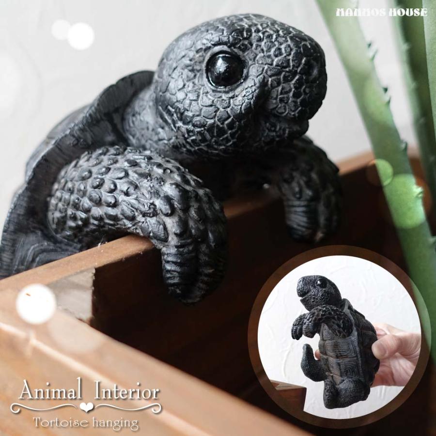 リアルな亀の置物 壁掛けインテリア Amazon.co.jp: カメ置物 縁起物 リアルな亀の置物 動物オブジェ