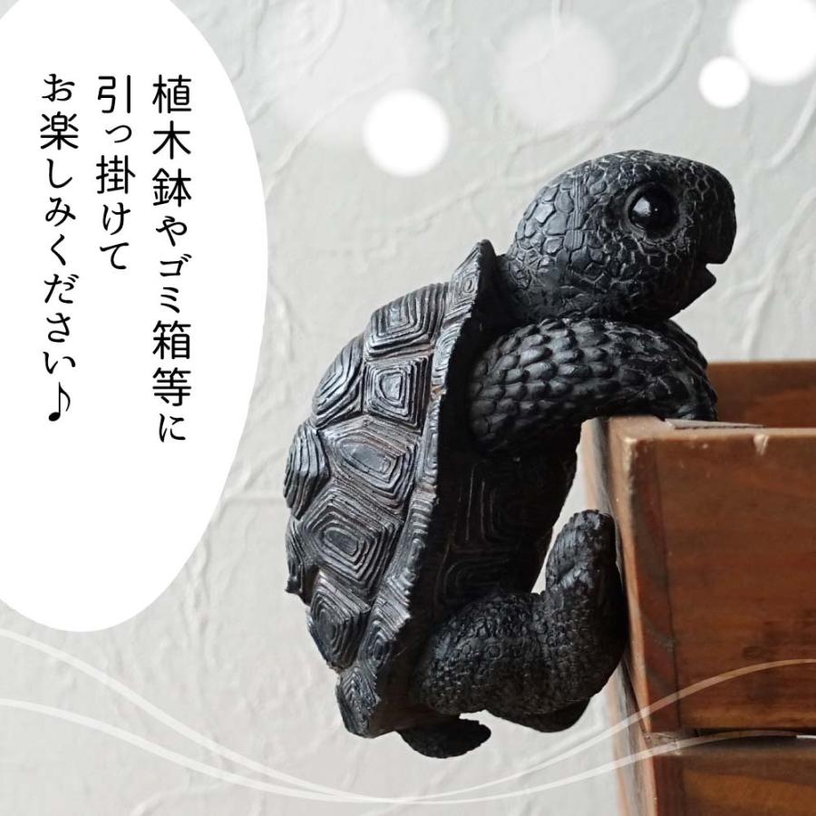 リアルな亀の置物 壁掛けインテリア Amazon.co.jp: カメ置物 縁起物 リアルな亀の置物 タイプ 動物