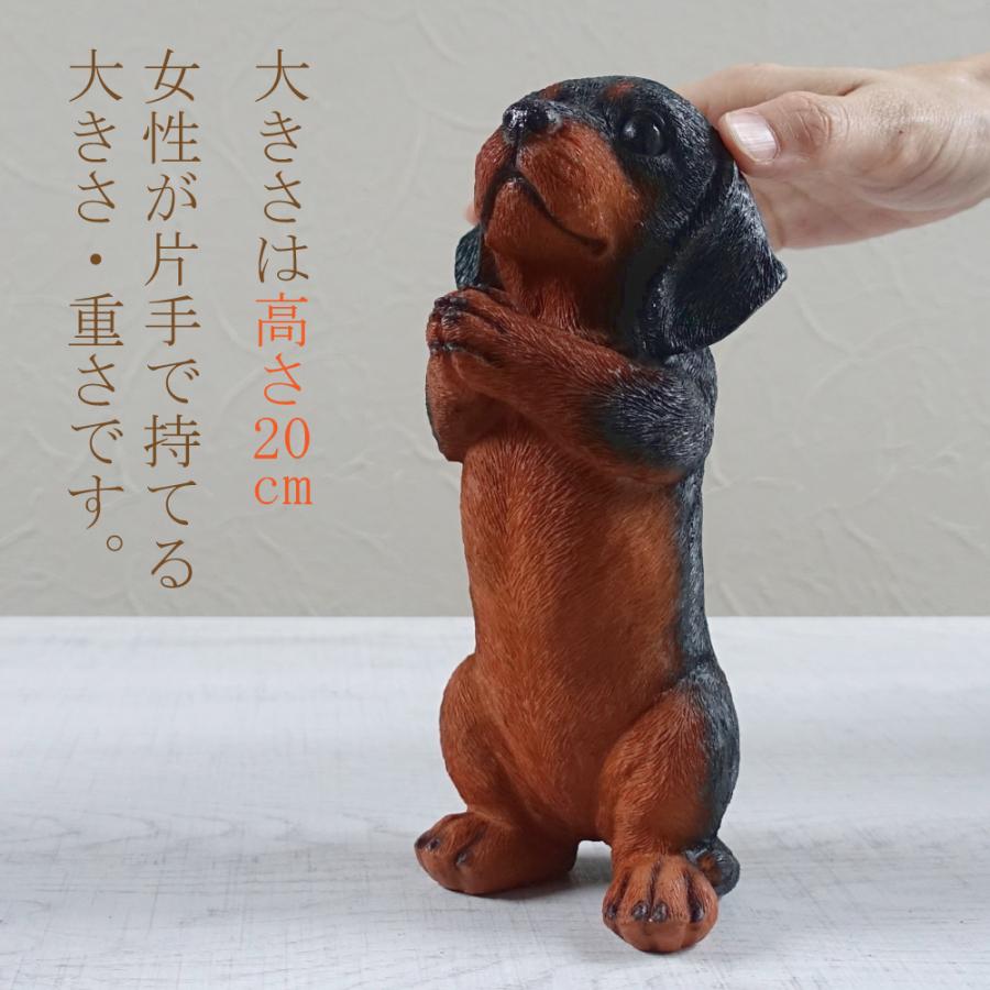 おねだり ダックスフンド 置物 オブジェ かわいい お願い おしゃれ