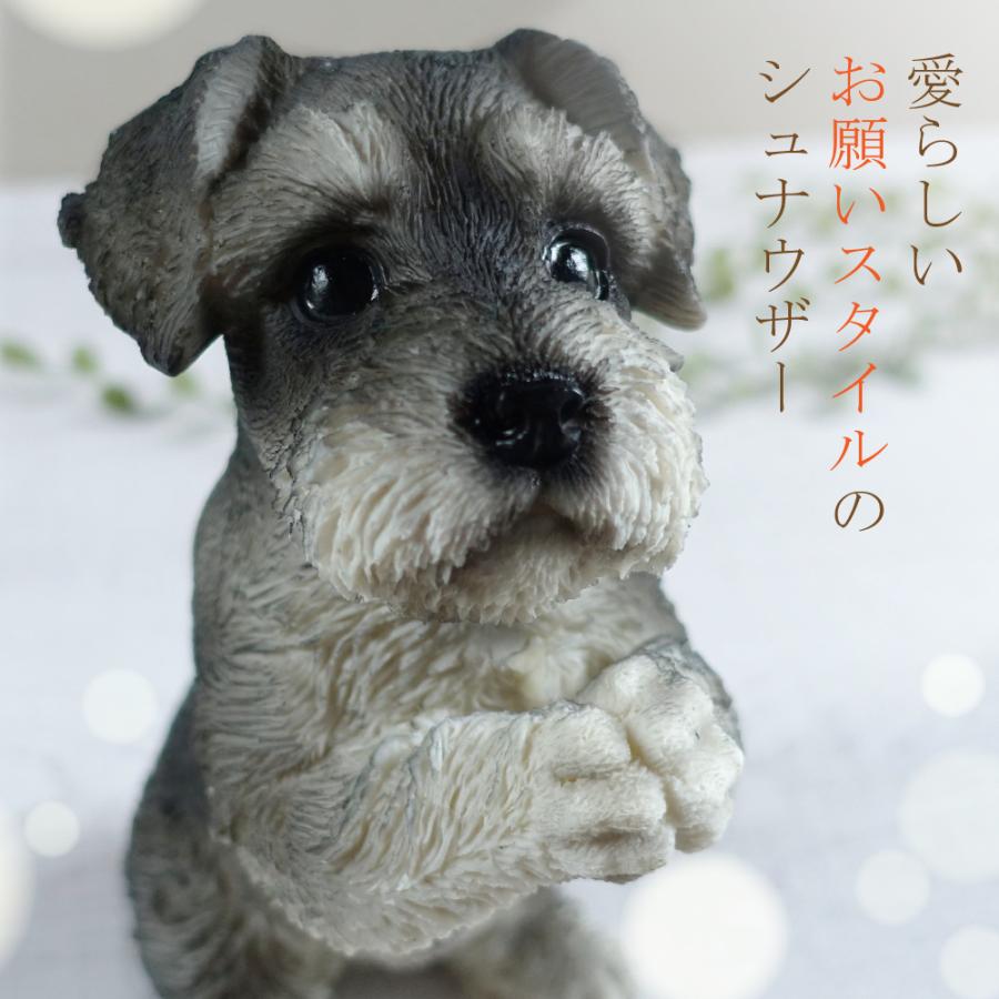 おねだり ミニチュアシュナウザー 置物 オブジェ かわいい おねだり ミニチュアシュナウザー 置物 オブジェ かわいい