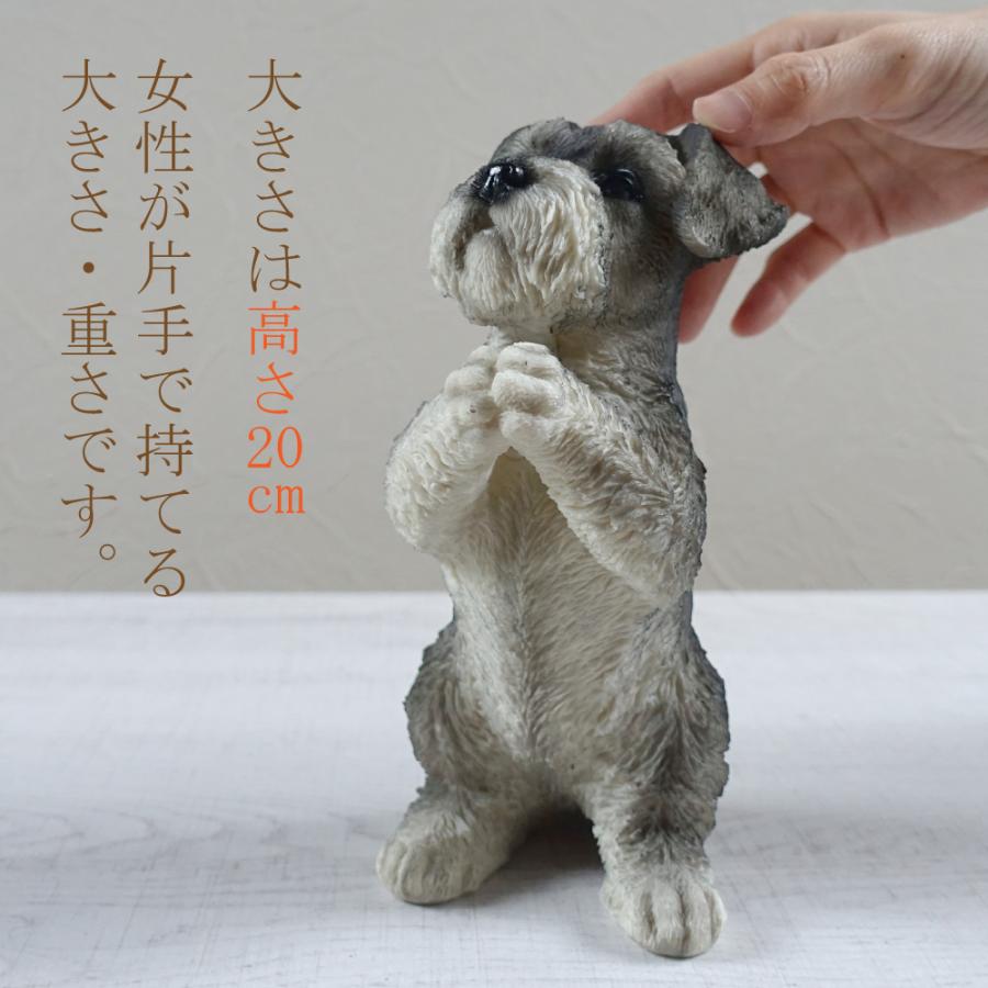 おねだり ミニチュアシュナウザー 置物 オブジェ かわいい おねだり ミニチュアシュナウザー 置物 オブジェ かわいい