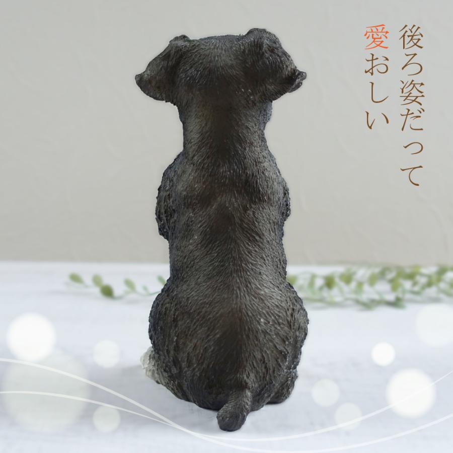 おねだり ミニチュアシュナウザー 置物 オブジェ かわいい おねだり ミニチュアシュナウザー 置物 オブジェ かわいい