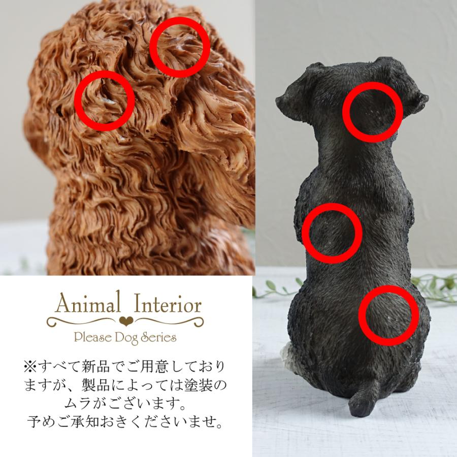 おねだり トイプードル 置物 オブジェ かわいい お願い おしゃれ