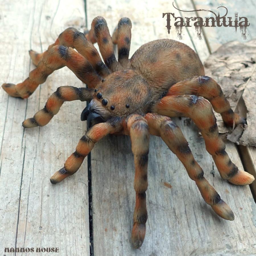 ビッグサイズ タランチュラ 置き物 おしゃれ リアル オブジェ 蜘蛛