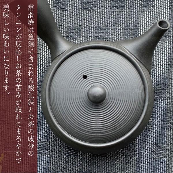 急須 おしゃれ 日本製 お茶が美味しくなる 常滑焼 ティーポット