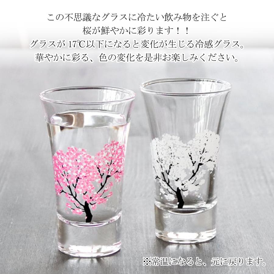 正規品 冷感桜 グラス 天開 ペアセット 温度で変化 サクラ 丸モ 正規品 冷感桜 グラス 天開 ペアセット 温度で変化 サクラ 丸モ