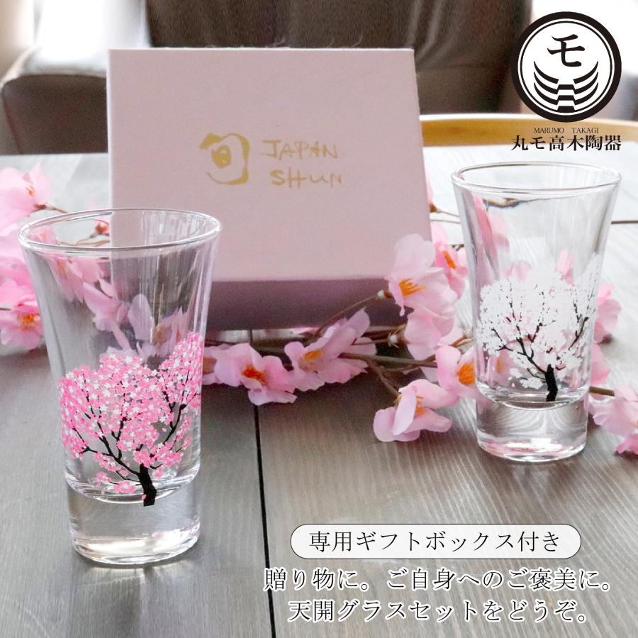 正規品 冷感桜 グラス 天開 ペアセット 温度で変化 サクラ 丸モ 正規品 冷感桜 グラス 天開 ペアセット 温度で変化 サクラ 丸モ