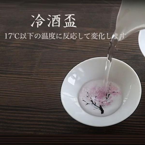お酒　お皿 丸モ高木陶器 冷感桜 平盃 ペアセット 正規品 お酒を楽しむ おしゃれ
