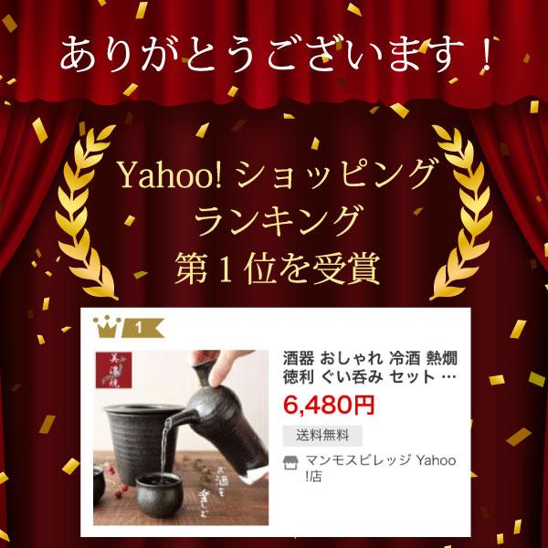 酒器セット 美濃焼 おしゃれ 冷酒 熱燗 徳利 ぐい呑み セット 蓋