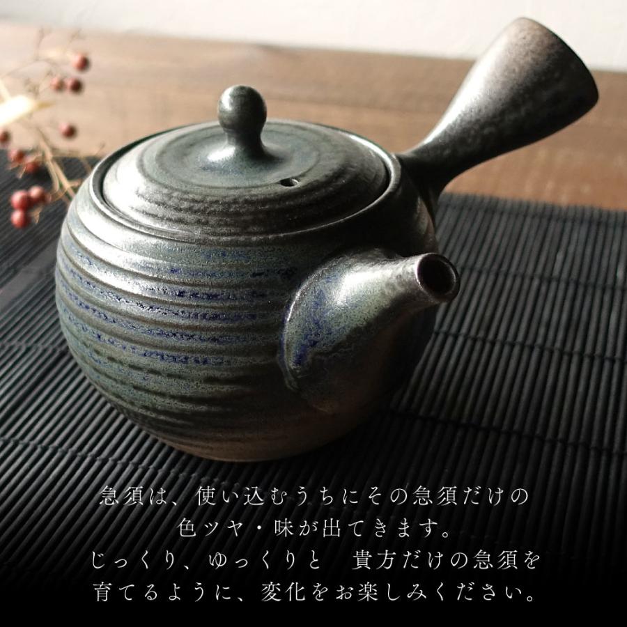 お茶が美味しくなる 急須 常滑焼 伊羅保 おしゃれ 陶製茶こし カフェ