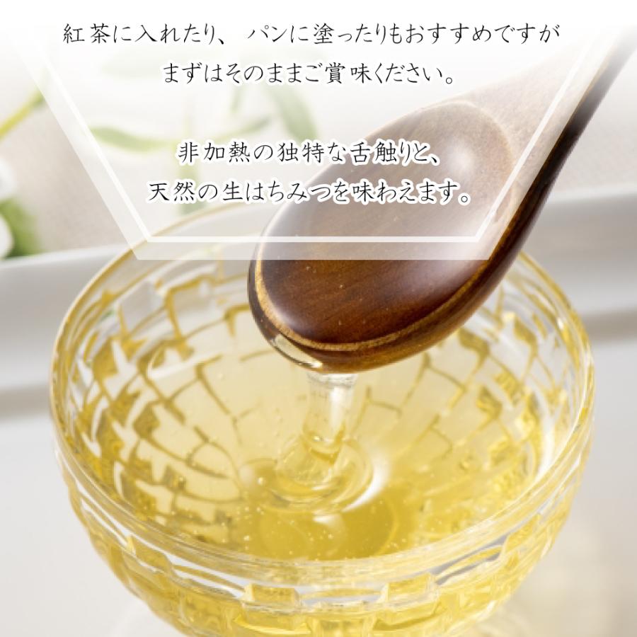 農林水産大臣賞受賞 アカシア はちみつ 美濃蜂蜜 600g 非加熱 農林水産大臣賞受賞 アカシア はちみつ 美濃蜂蜜 600g 非加熱