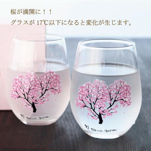 冷感桜 フリーグラス タンブラー 日本製 ペアセット おしゃれ 酒器 ワイングラス 焼酎 ビアグラス 丸モ高木陶器 ビール 冷酒 カップ コップ おしゃれ プレゼント Reikansakura Freegrass マンモスビレッジ Yahoo 店 通販 Yahoo ショッピング