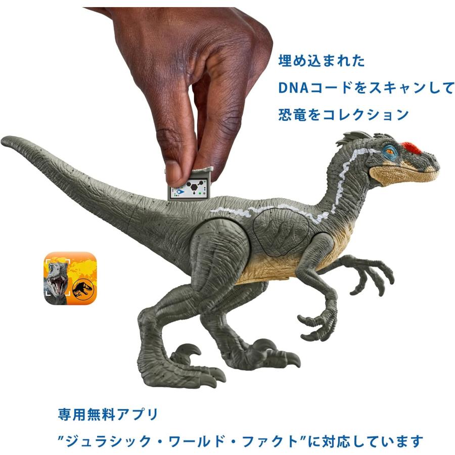 MATTEL ジュラシックワールド ダメージ ひかる ヴェロキラプトル MATTEL ジュラシックワールド ダメージ ひかる ヴェロキラプトル