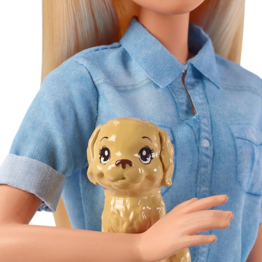 Barbie（バービー） ドリームハウスアドベンチャー ピンクのりょこう