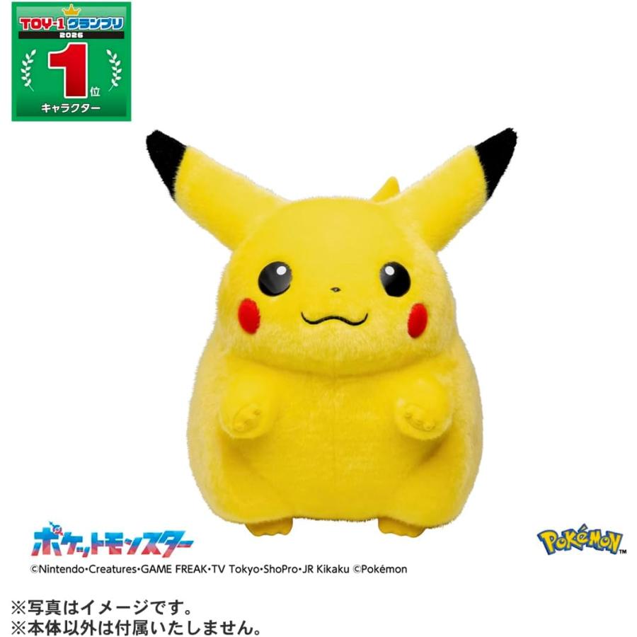 タカラトミー（TAKARA TOMY） ポケモン30周年記念 おかえりピカチュウ