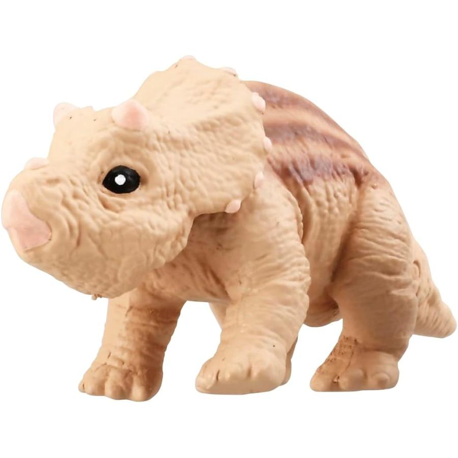 タカラトミー アニア 恐竜フィギュア まとめ売り タカラトミー（TAKARA TOMY） アニア 恐竜コレクション DP-BOX (12個入