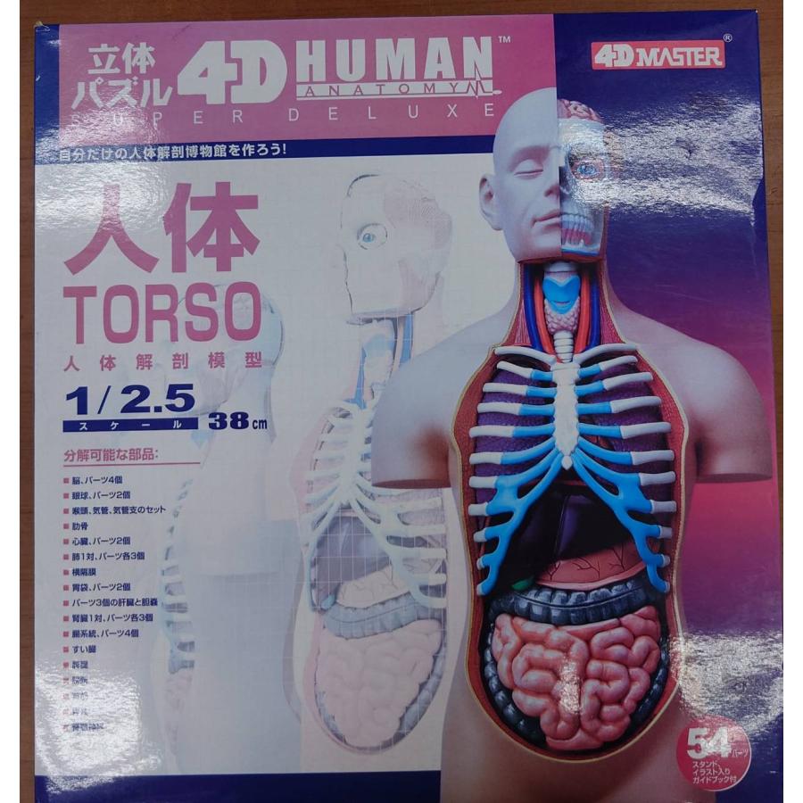 青島文化教材社 立体パズル 4D VISION 人体解剖モデル No.SP スーパー