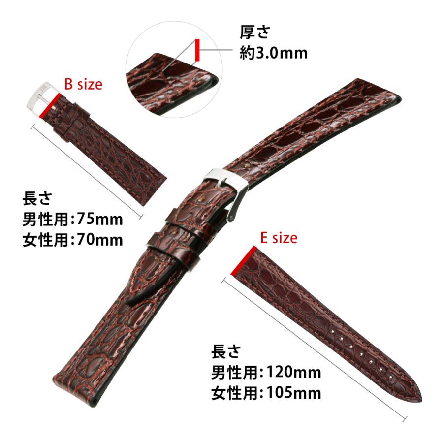 カルバンクライン シティ 用 Calvin Klein CITY にぴったりの モレラート LIVERPOOL 交換ベルト 時計ベルト 革ベルト 時計バンド 腕時計ベルト 革 レディース | Calvin Klein | 02