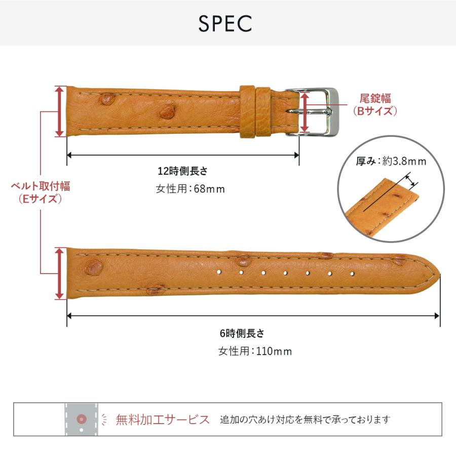 CASSIS（カシス） 腕時計ベルト バンド オーストリッチ 本革 12mm 14mm