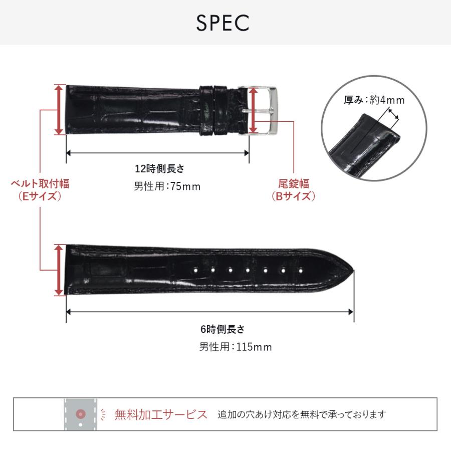 CASSIS 腕時計ベルト バンド アリゲーター ワニ革 裏ラバー 裏面