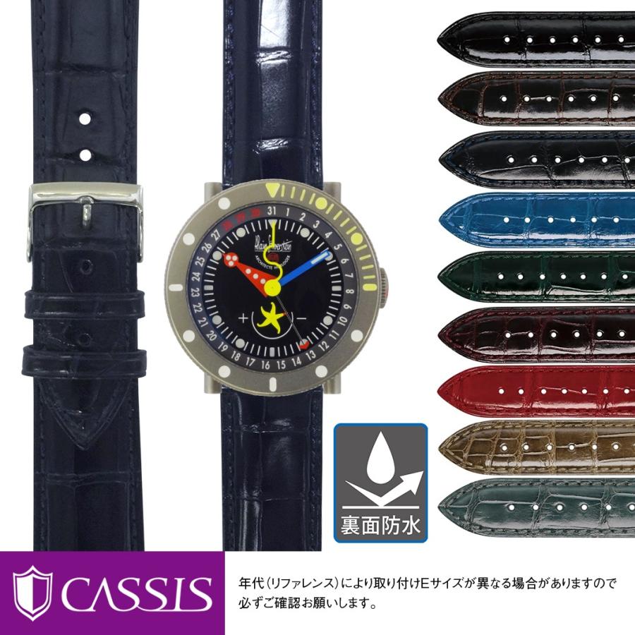 CASSIS アラン シルベスタイン 用 ALAIN SILBERSTEIN にぴったりの