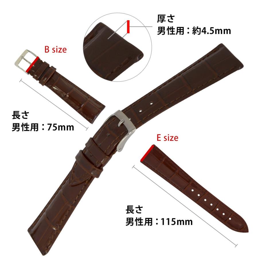 CASSIS 時計ベルト 裏ラバー 裏面防水 カーフ 牛革 カシス MULHOUSE 
