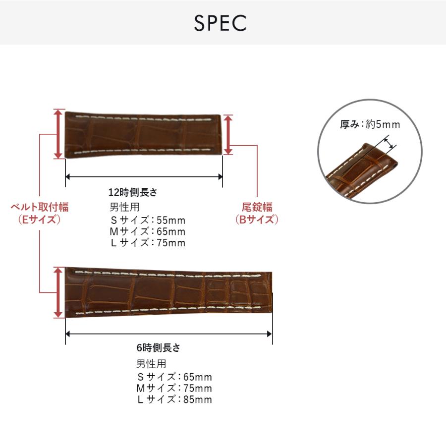 CASSIS ロレックス（ROLEX） デイトナ用 裏面防水 アリゲーター