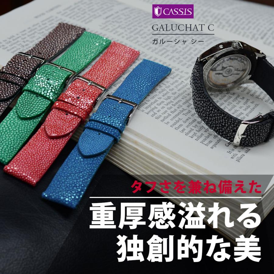 CASSIS 腕時計ベルト バンド ガルーシャ エイ革 本革 裏面防水