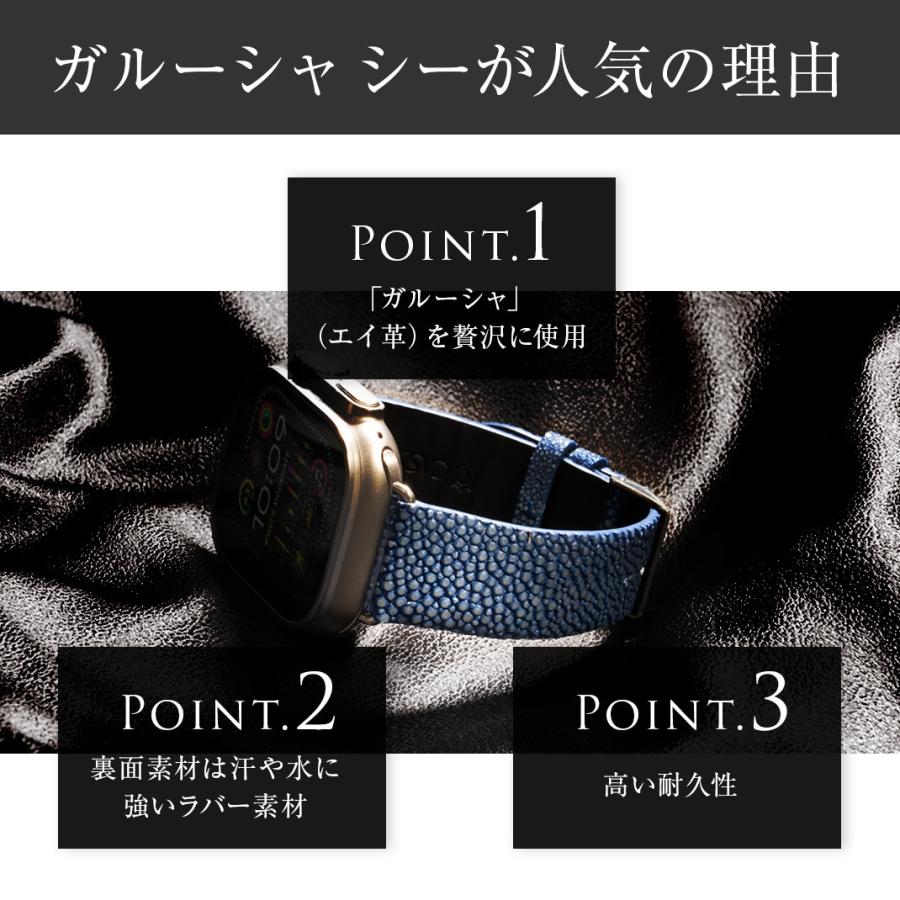 Apple Watch アップルウォッチ バンド apple watch ベルト ガルーシャ