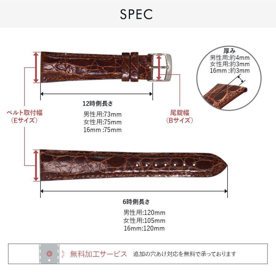 未使用 MORELLATO AMADEUS クロコダイル時計ベルト 22mm 未使用 MORELLATO AMADEUS クロコダイル時計ベルト 22mm - メルカリ