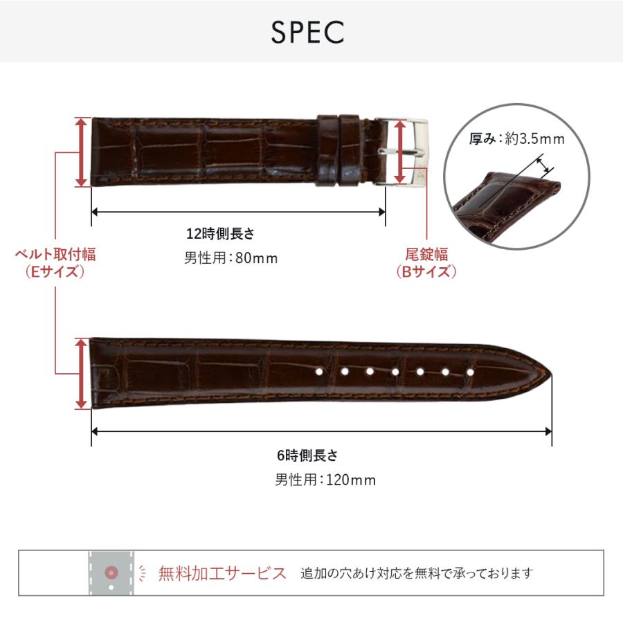 MORELLATO（モレラート） 時計ベルト アリゲーター ワニ革 VOLTERRA