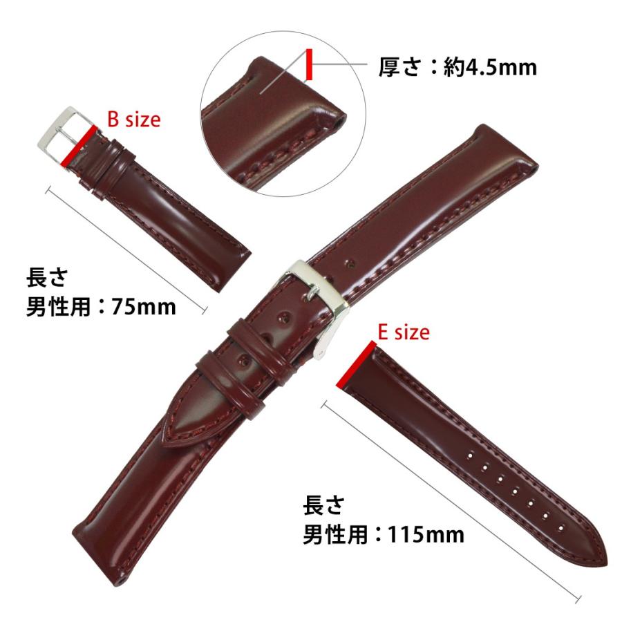 CASSIS（カシス） ハミルトン アメリカン クラシック スピリットオブ