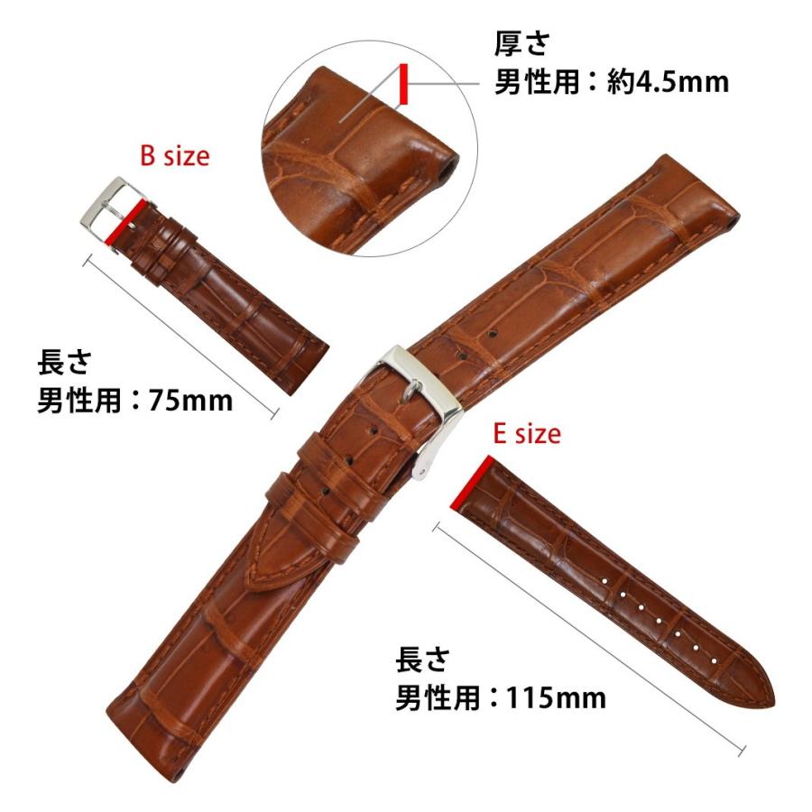 海外輸入腕時計ベルト バンド 交換 ワニ革 CASSIS C ADONARA U1017A70