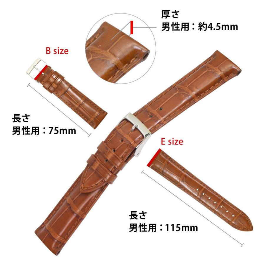 CASSIS シチズン エコ・ドライブ用 裏面防水 CITIZEN Eco Drive CASSIS シチズン エコ・ドライブ用 裏面防水 CITIZEN Eco Drive