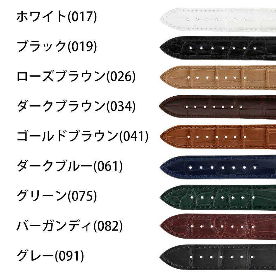 CASSIS（カシス） オメガ シーマスター プロフェッショナル 用 裏面
