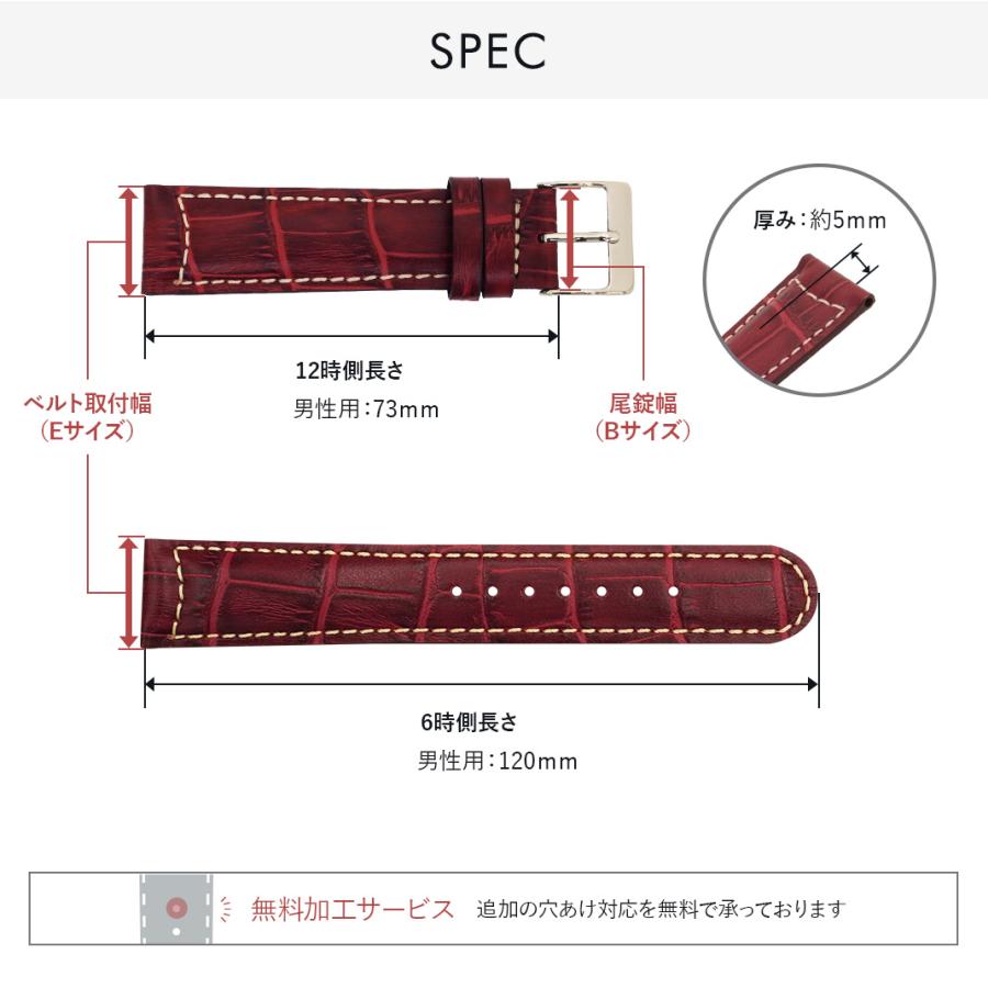 CASSIS 腕時計ベルト バンド カーフレザー 本革 クロコ型押し