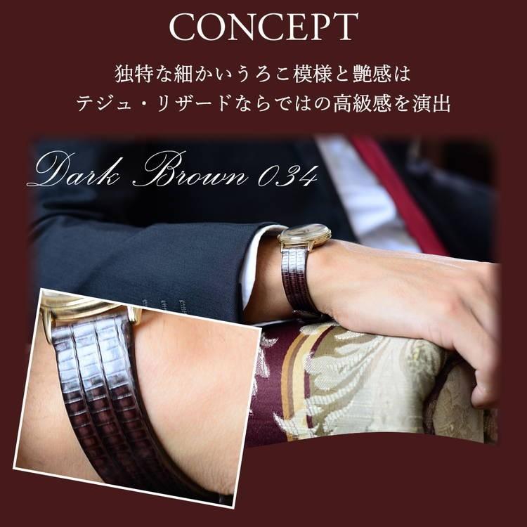 腕時計ベルト バンド テジュリザード 裏面防水  10mm 11mm 12mm 13mm 14mm 15mm 16mm 18mm 19mm 20mm　カシス アーヴル 交換の画像