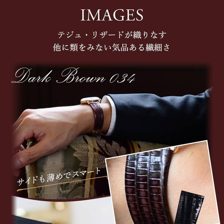 腕時計ベルト バンド テジュリザード 裏面防水  10mm 11mm 12mm 13mm 14mm 15mm 16mm 18mm 19mm 20mm　カシス アーヴル 交換の画像