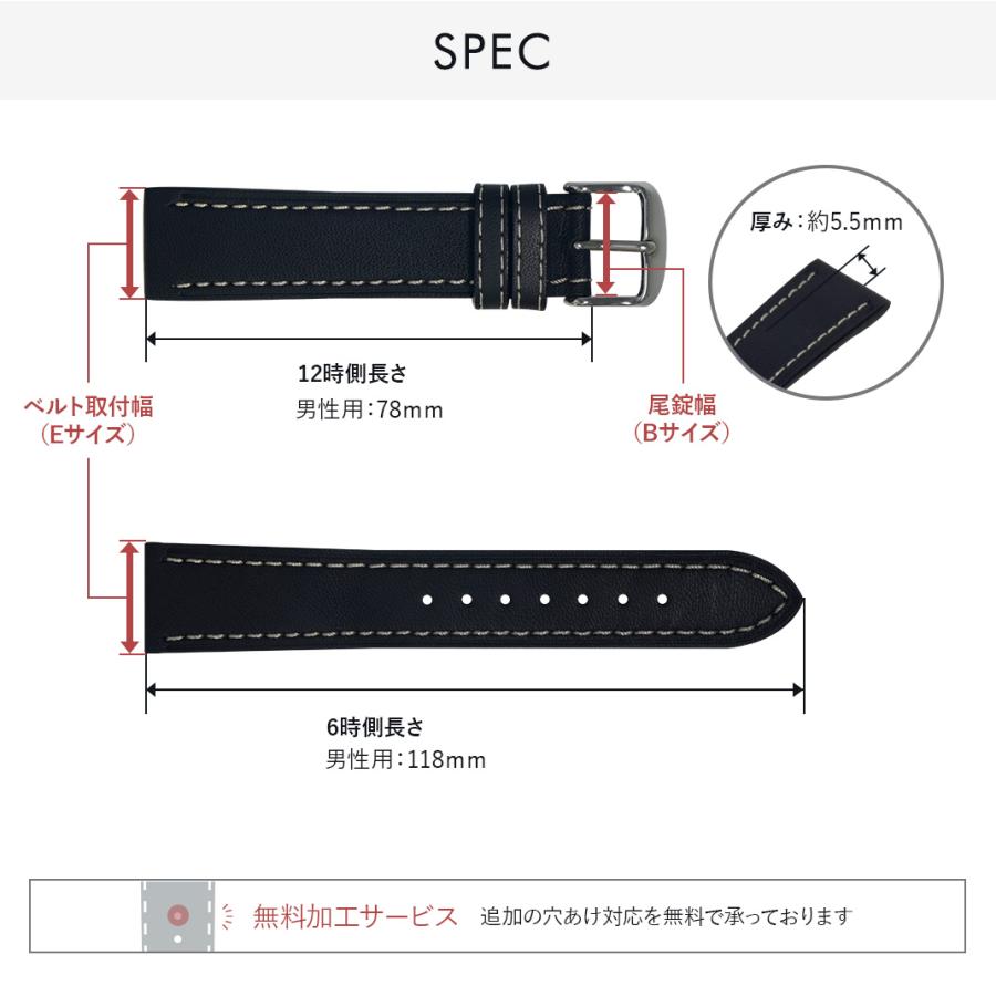CASSIS 腕時計ベルト バンド カーフレザー 牛革 水深100m防水 メンズ