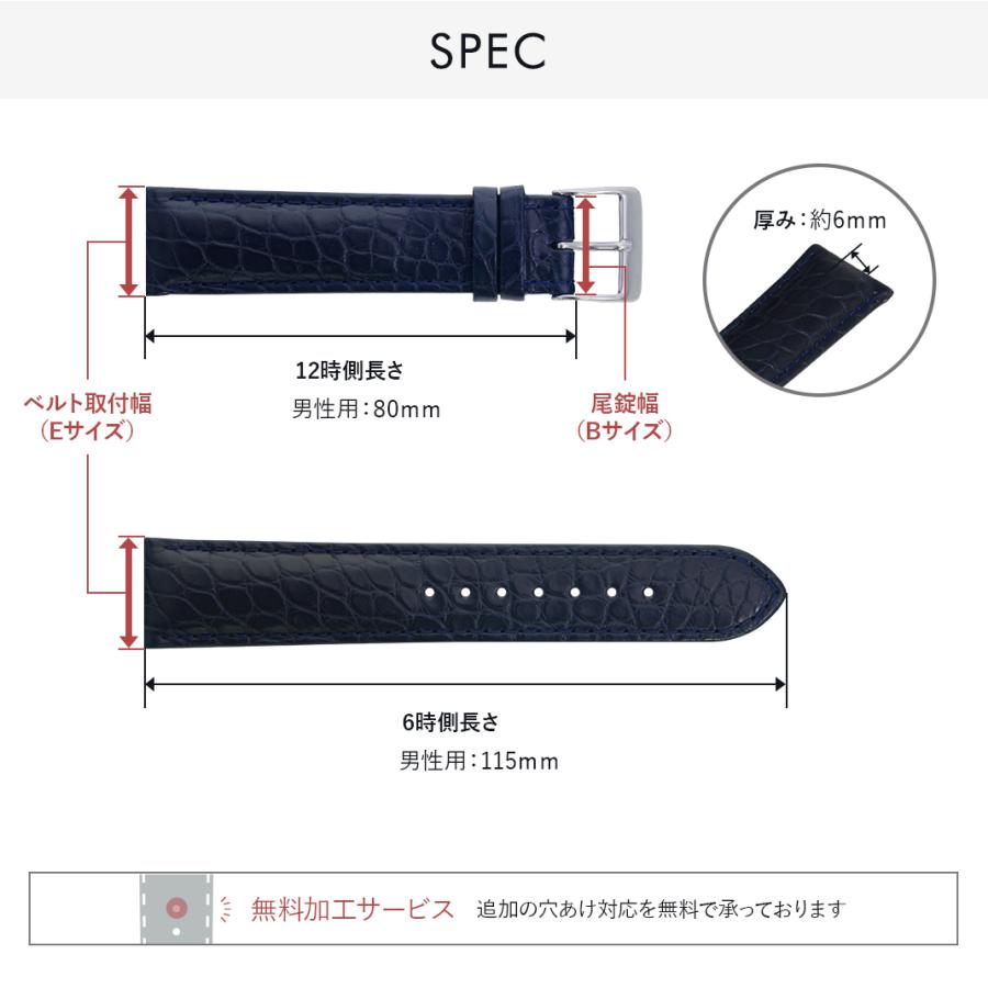 CASSIS 腕時計ベルト バンド カイマン ワニ革 本革 レザー