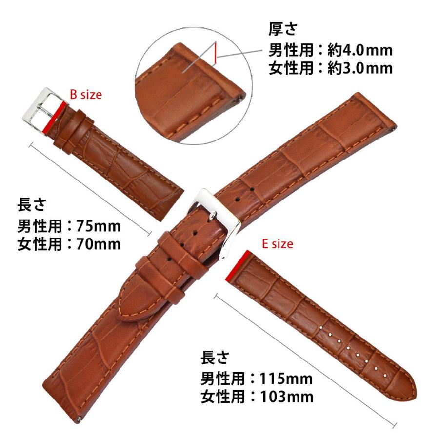 腕時計ベルト バンド 交換 牛革 24mm 22mm 21mm 公式サイト 19mm mm X Cassis 18mm Avallon