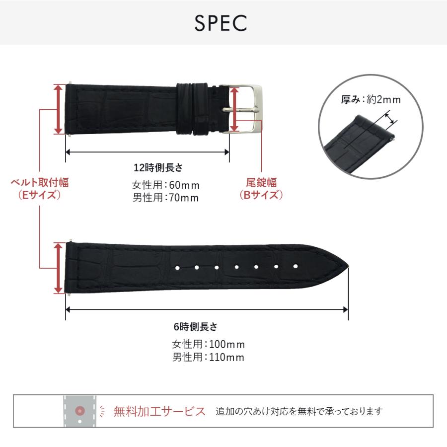FRANCK MULLER フランクミュラー ロングアイランド 用 裏面防水