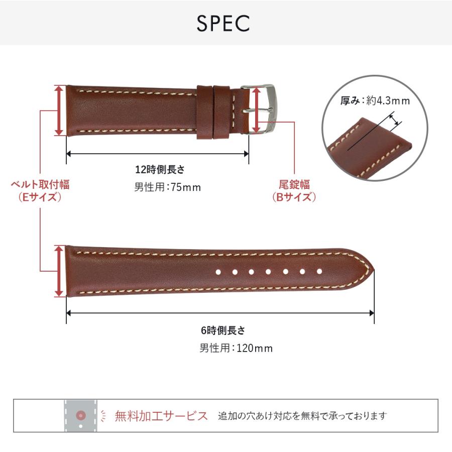 MORELLATO（モレラート） ハミルトン ジャズマスター 用 HAMILTON