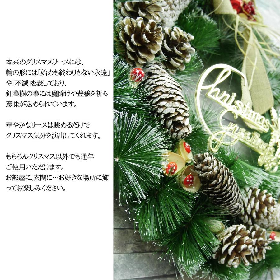 クリスマスリース 55cm グリーンリース ナチュラルリース ウィンターリース インテリア 往復送料無料 ギフト 壁掛け プレゼント リース Wr 02 壁飾り