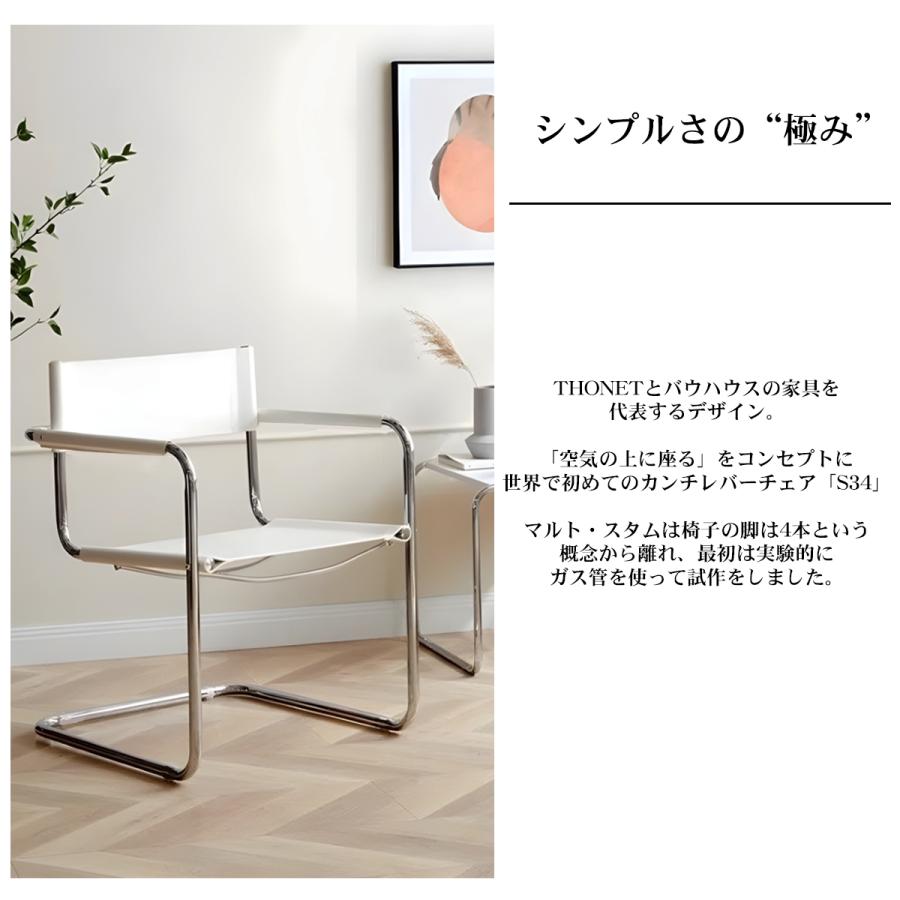 ダイニングチェア 北欧 一人掛け モダン S34 レザー デザイナーズ