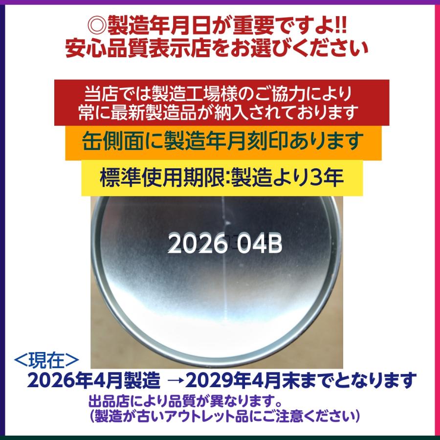 丸山工業 消火スプレー 3本 最新製造品 2026年4月製造 家庭用