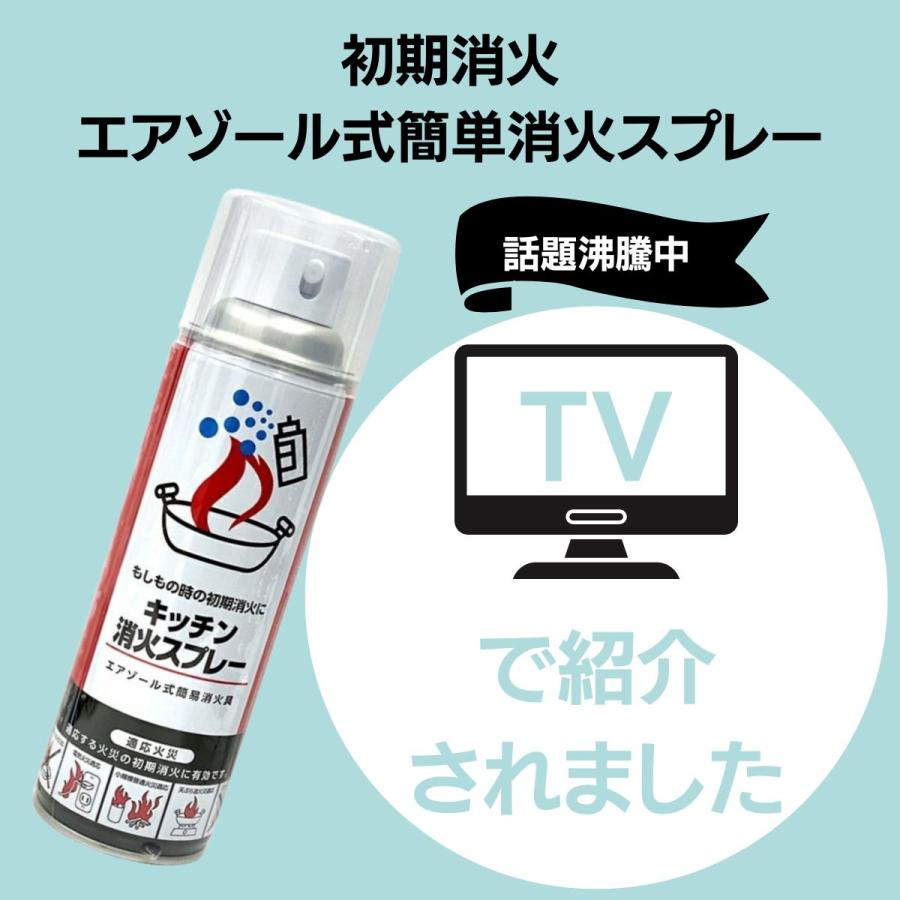 消火スプレー ホルダー付き 最新製造品 2025年8月製造 エアゾール式
