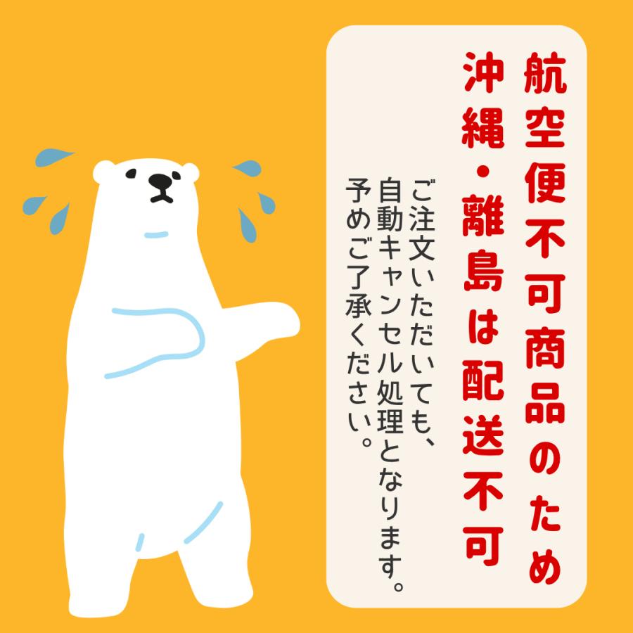 丸山工業 消火スプレー x1 最新製造品 2026年2月製造 エアゾール式簡易